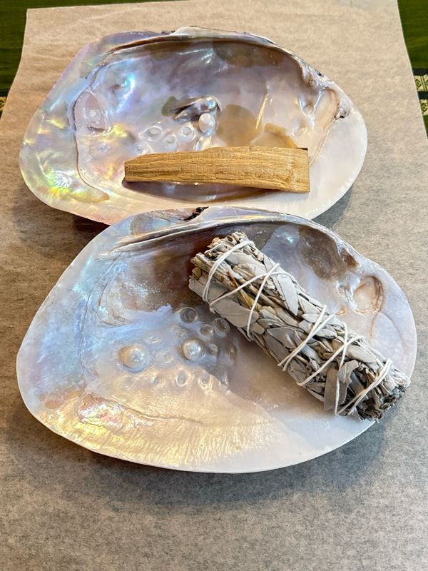 Mother of Pearl Shell