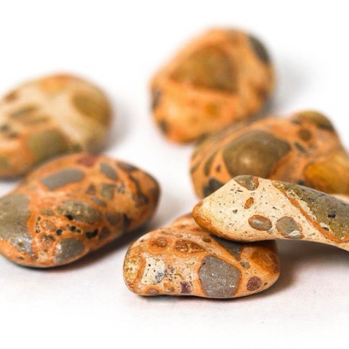 Leopardite - Sml Polished