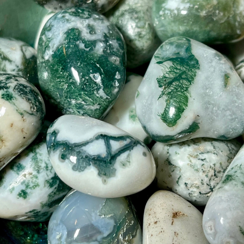 Tree Agate - Polished