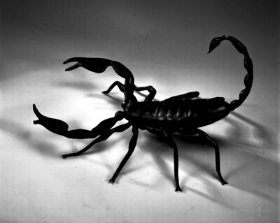 SCORPIONS