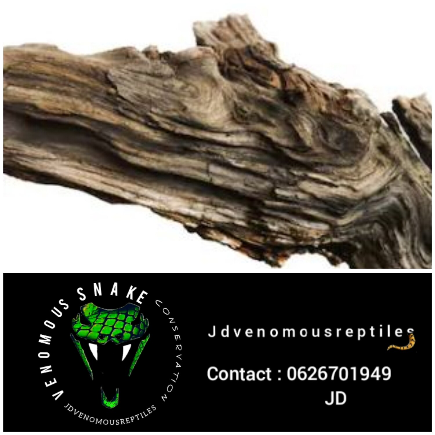 Drift Wood