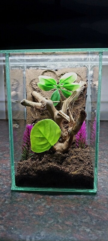 Aboreal Small Enclosures