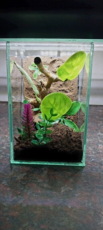 Aboreal Large Enclosures