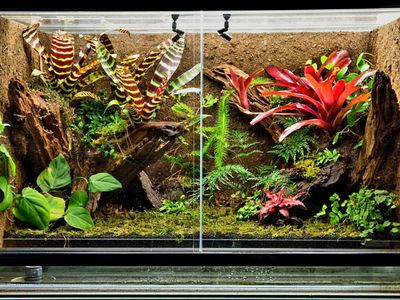 Terrestrial Setup