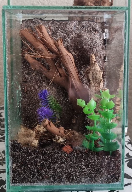 Aboreal Small Enclosures