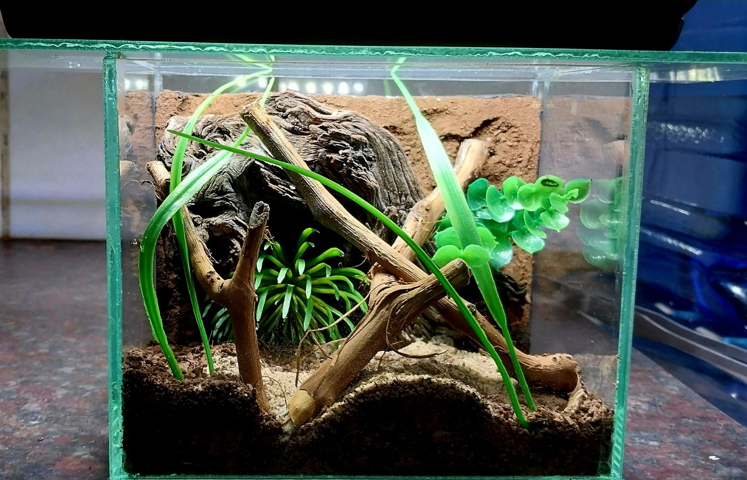 Terrestrial/Fossorial Small Enclosure