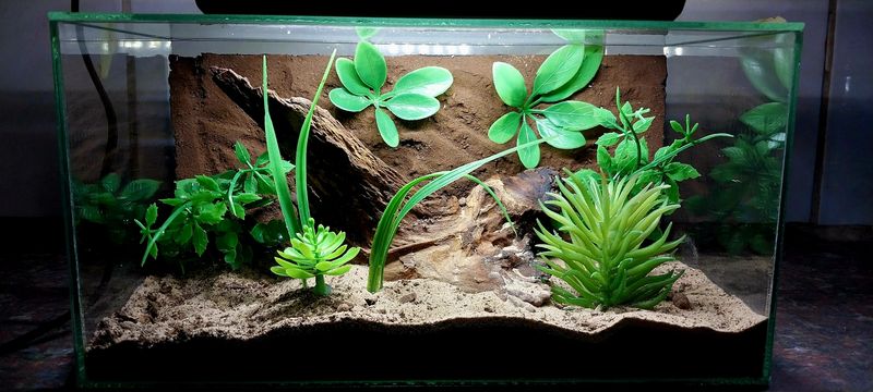 Terrestrial/Fossorial Medium Enclosure