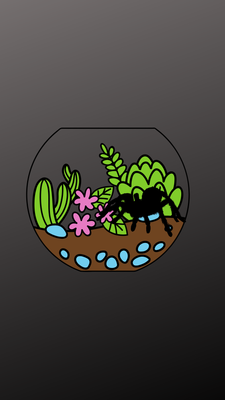 Tarantulas With Enclosures