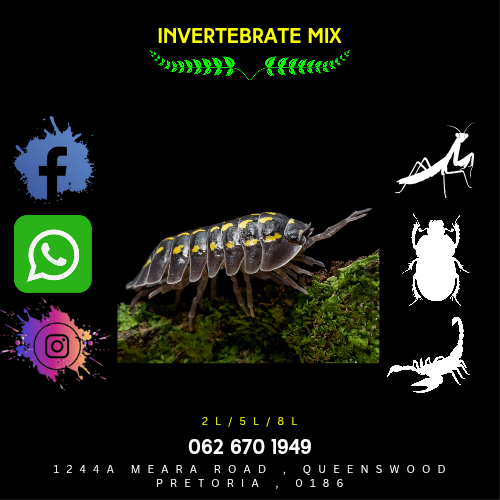 Invertebrates Mix