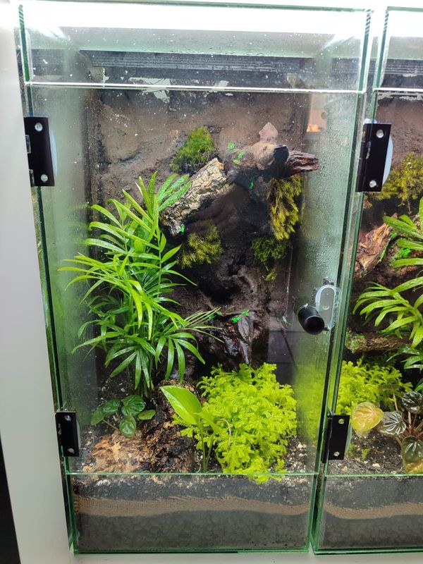 Aboreal Large Enclosures