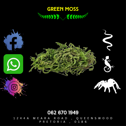 Sphagnum Moss