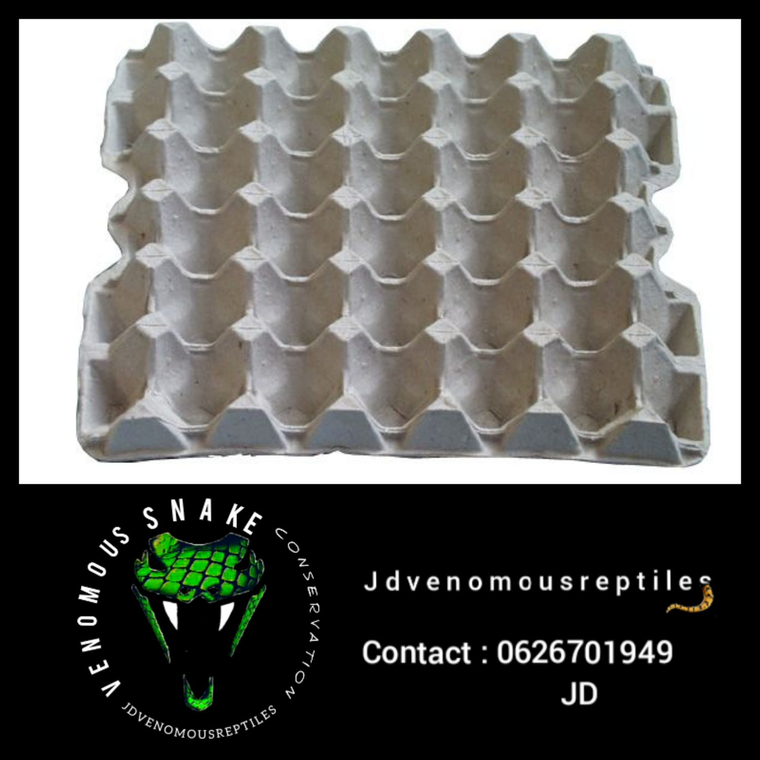 Egg Trays