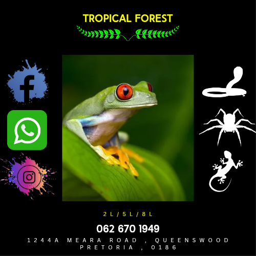 Tropical Forest Mix