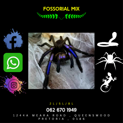 Fossorial Mix