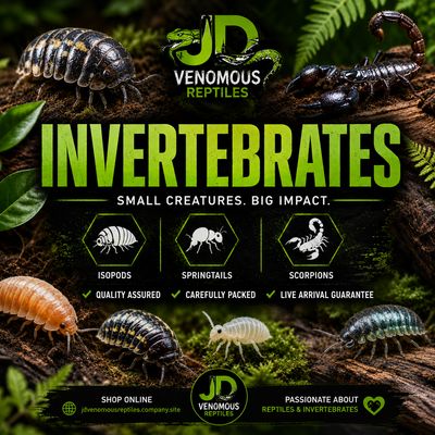 CREATURES AND CRITTERS
