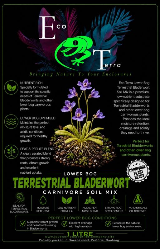 Lower Bog : Terrestrial Bladerworts