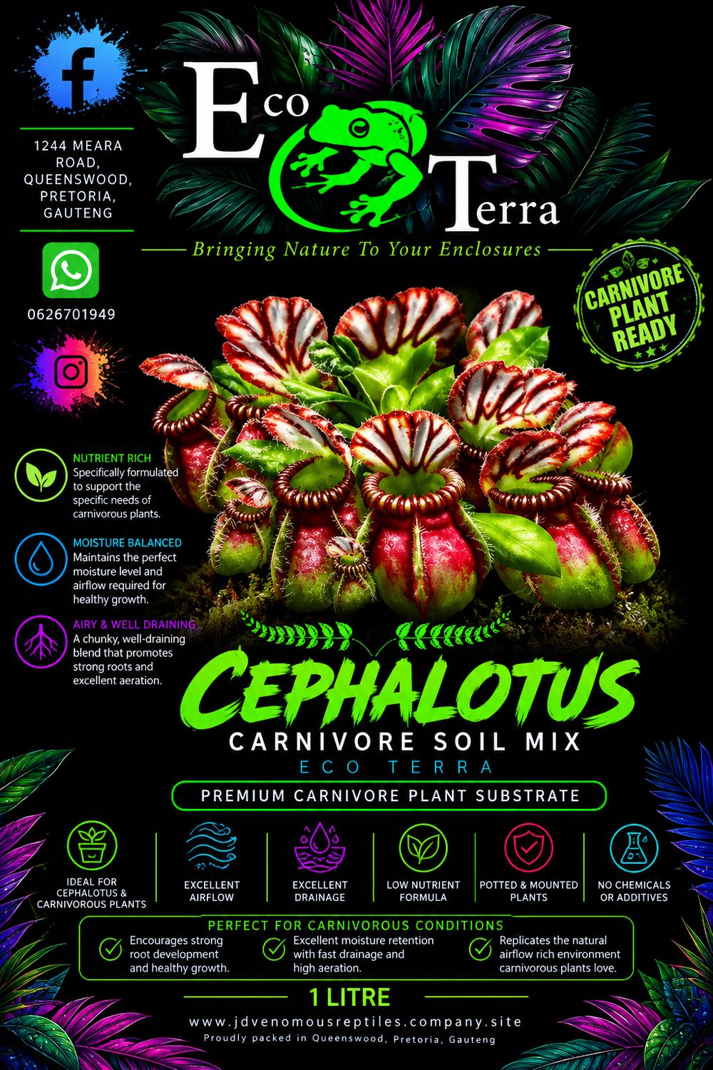 Cephalotus Mix