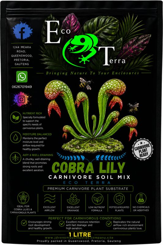 Cobra Lilly