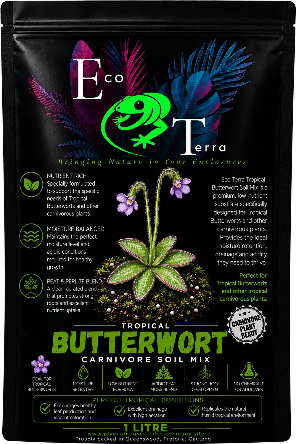 Tropical Butterwort