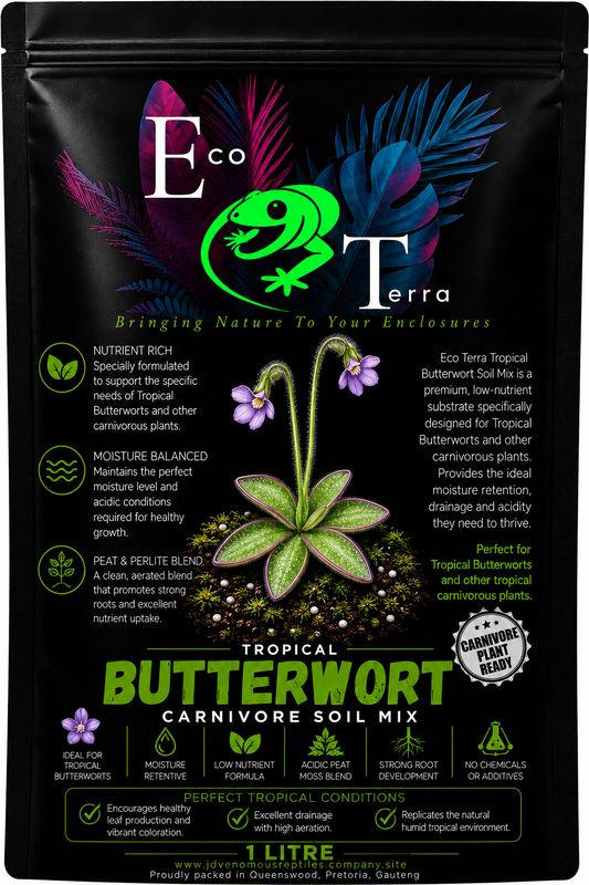 Tropical Butterwort