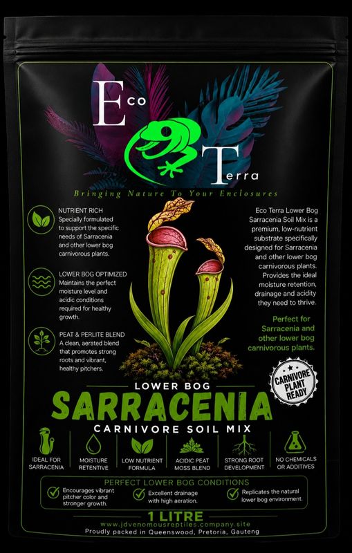 Lower Bog : Sarracenia