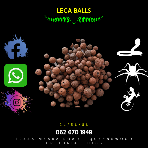 Leca Balls (2-4mm)