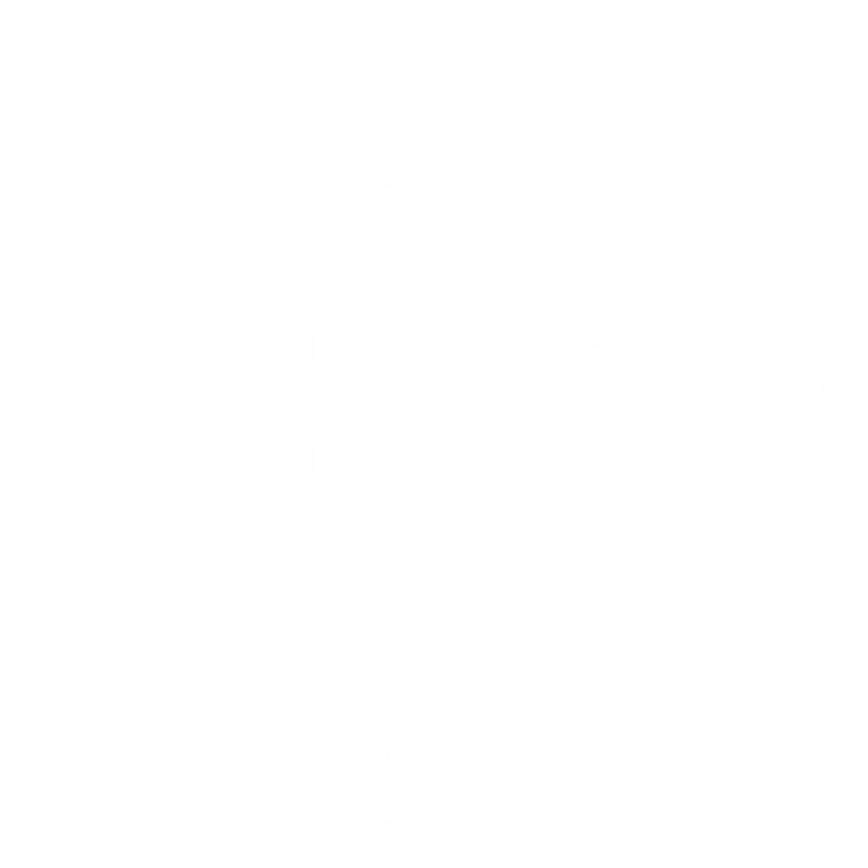 Urban Gecko