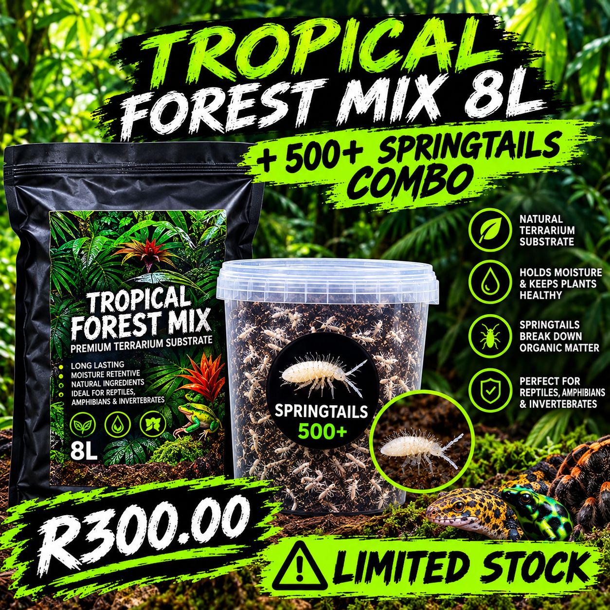 Tropical Forest Combo