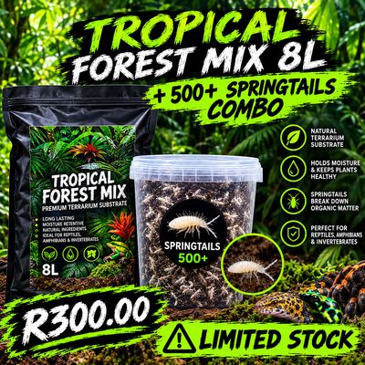 Tropical Forest Combo