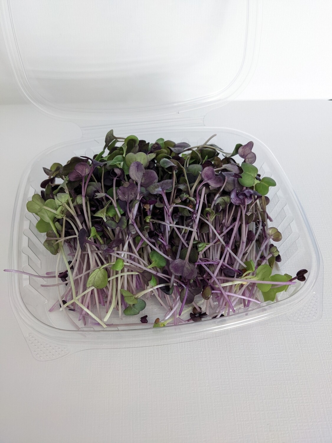 Radish Microgreens