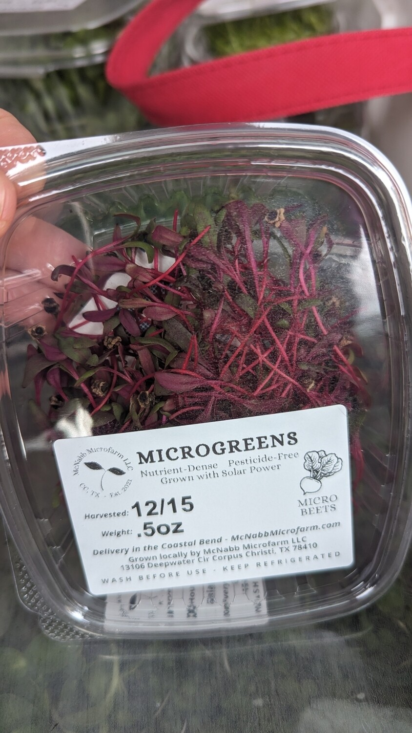 Beet Microgreens