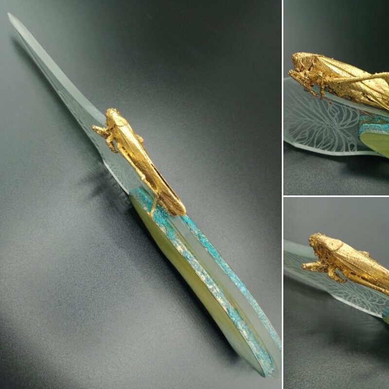 Couteau insecte - Caelifera