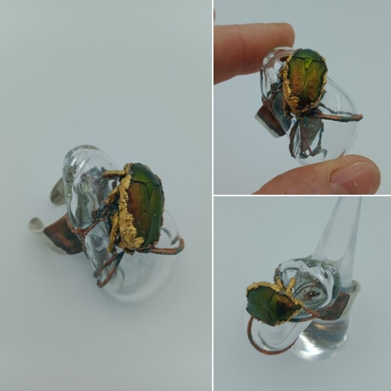 Bague - Organic Cétonia