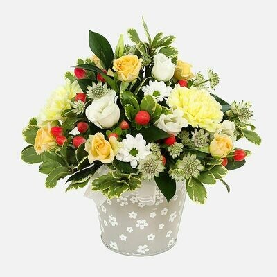 Florist Choice  Pastel Pot : From £35.00