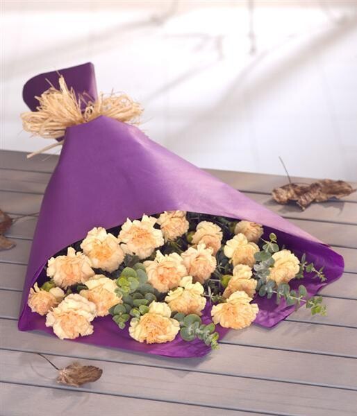 Carnations Wrap: £27.95