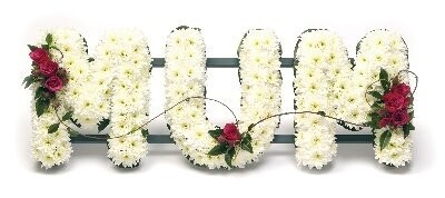 White Block Colour With Ribbon  Edging: From £45.00 per letter