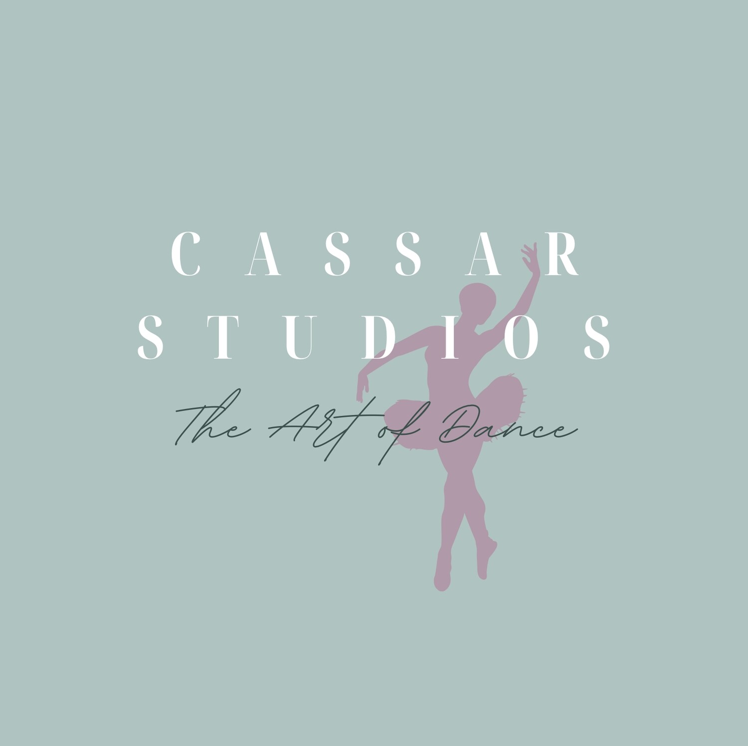 45 Minute 5 Class Monthly Session