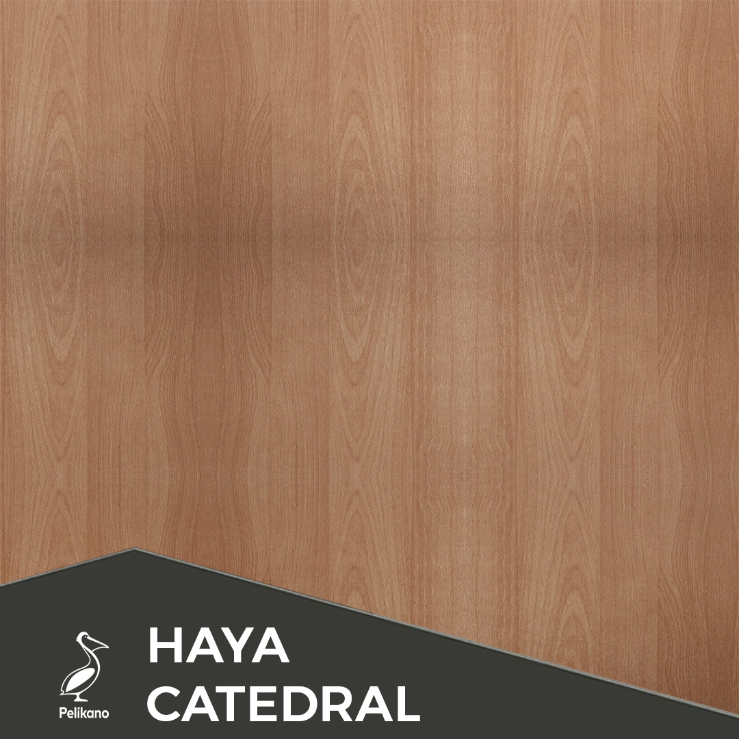 Tablero Pelikano MDP Haya Catedral