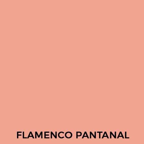 "Peg & Pinte Acrílico" Flamenco Pantanal