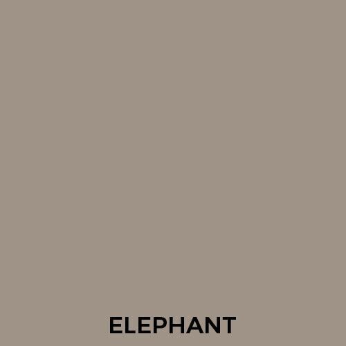 "Protege" Elephant