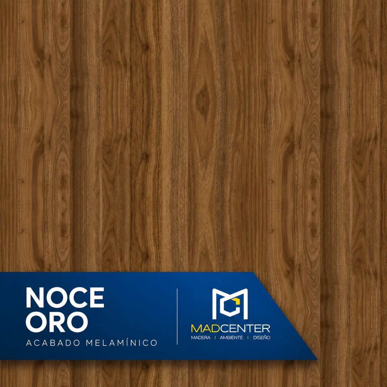 Noce Oro 18mm