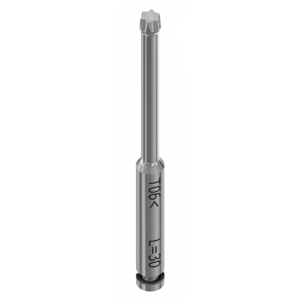 Screwdriver Torx® 06