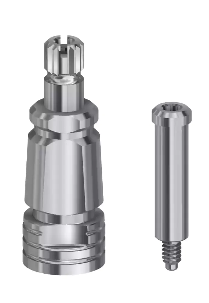 Transfer WP Multi-Unit