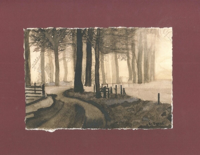 Monochrome forest (Beech in Ermelonden)