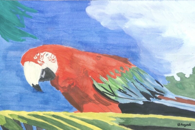 Parrot