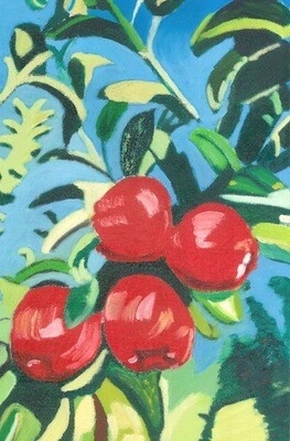Manzanas Digital
