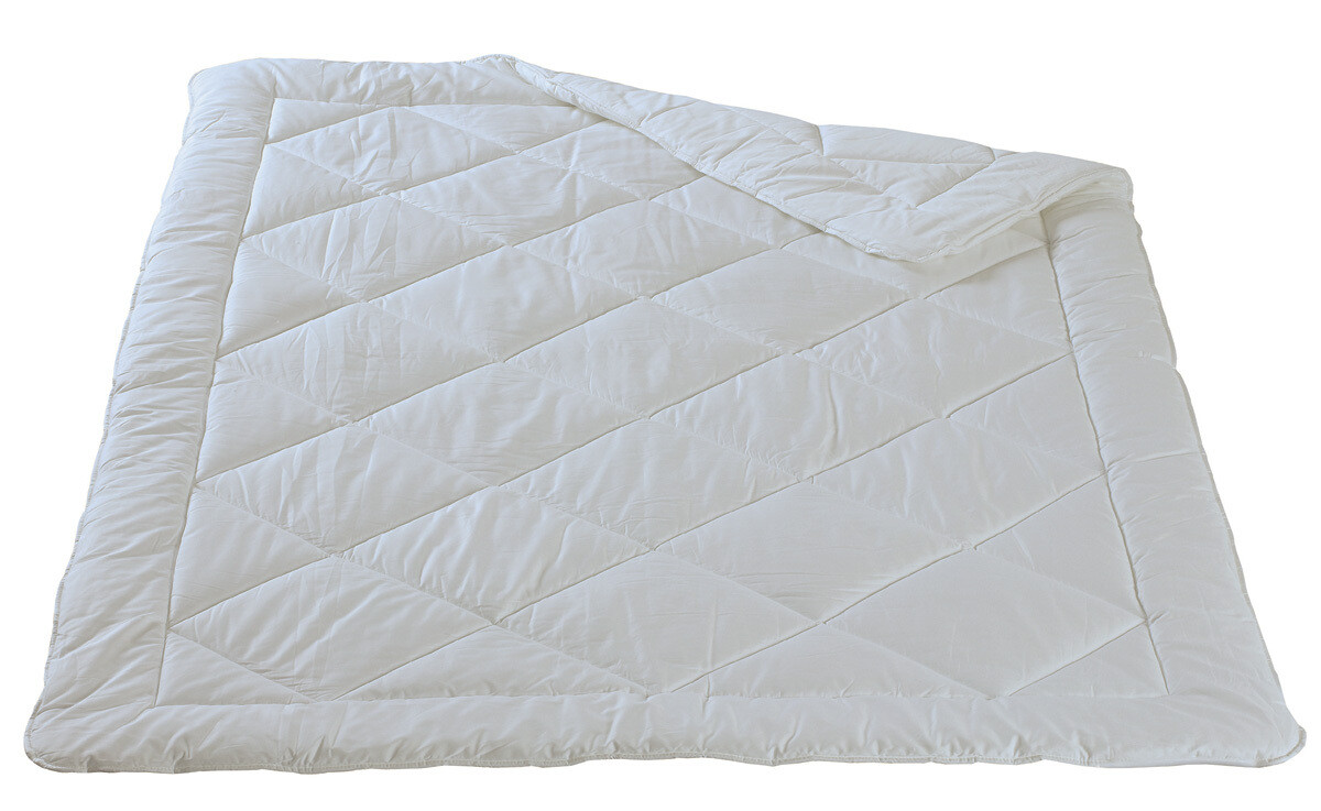 Allergiker - Leichtes Ganzjahresduvet - RAMONDA - Dorbena  Z 20036