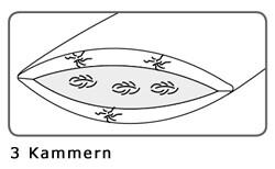 Kissen - 3 KAMMER ARCTOTIS - Dorbena Z 20130