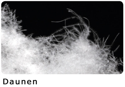 Kissen - CORONILLA - Dorbena Z 20115