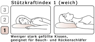 Allergikerkissen - LAVANTA - Dorbena  Z 20043